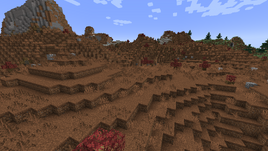 Tundra New