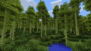 The Bamboo Forest in an older update.