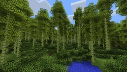 Bamboo Forest | Biomes O' Plenty Wiki | Fandom