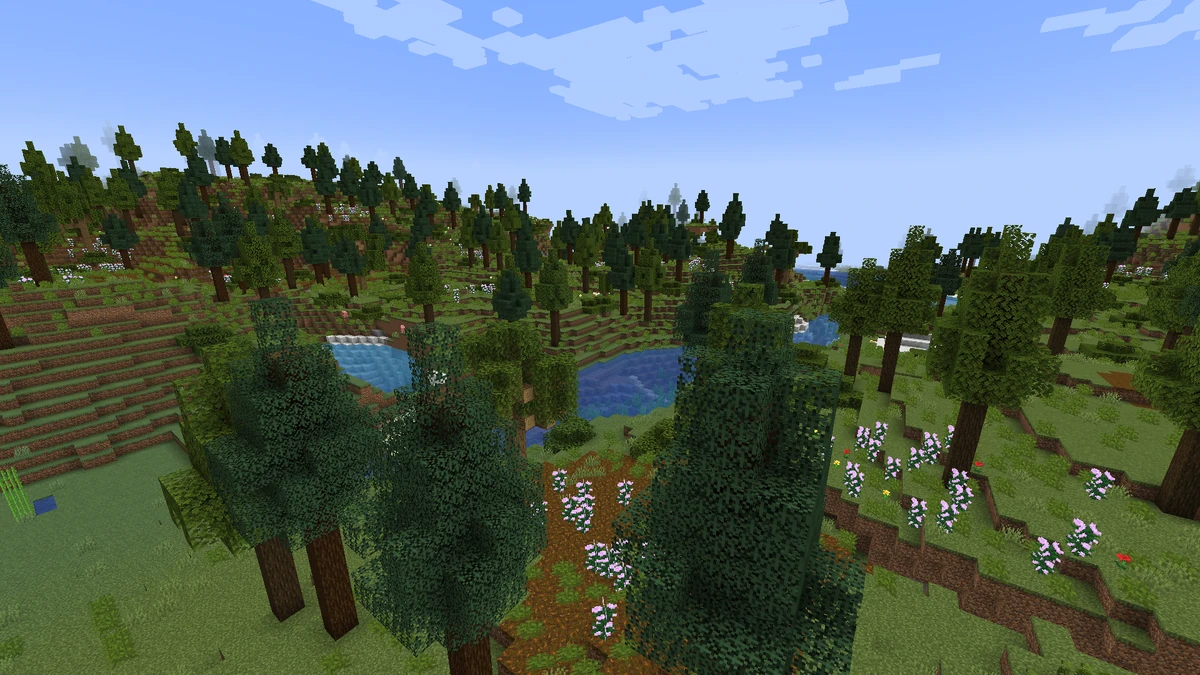 Mediterranean Forest | Biomes O' Plenty Wiki | Fandom