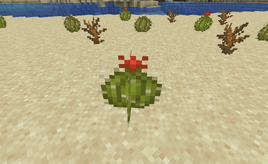 Tinycactus