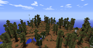 Bog - Recent Update, Overview