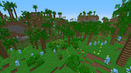 Tropics (Tropical Island) in 1.15.2