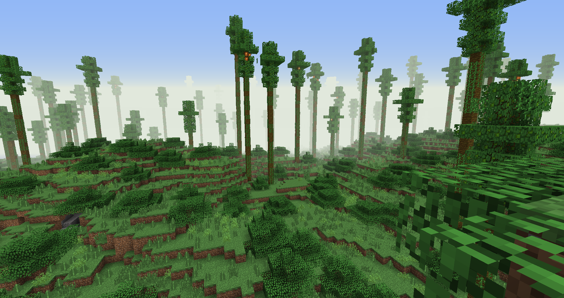 Eucalyptus Forest Biomes O Plenty Wiki Fandom