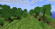 Overgrown Greens pre-1.21 (removed in 1.8).