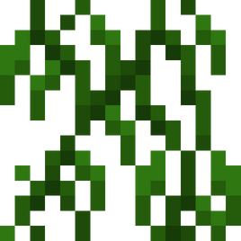 Willow vine