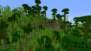 Bamboo Jungle Hills In Minecraft 1.14