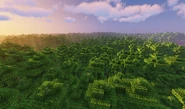 Bamboo Forest 1.12.2 with shaders.