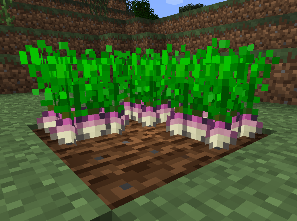 Turnip | Biomes O' Plenty Wiki | Fandom