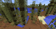Bog in 1.7.10