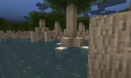 Mangrove 1 9 4(2).png (1.52 MB) Mangroove view from below