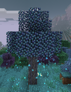 Old Magic Tree