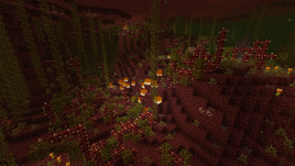 Undergrowth New