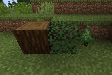 Dead Sea Scroll | The Split Mod Wiki | Fandom