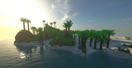 Tropics in 1.15.2 with shaders