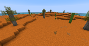 Outback Biome in 1.15.2