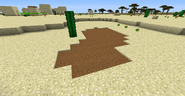 Quicksand in a desert in 1.12.2