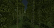The Bamboo Forest in the most recent update.