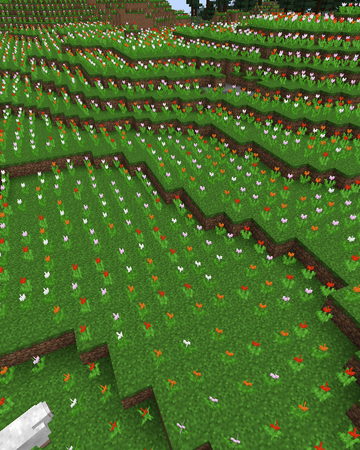 Flower Field Biomes O Plenty Wiki Fandom After bees collect pollen and start flying back to their nests or beehives. flower field biomes o plenty wiki