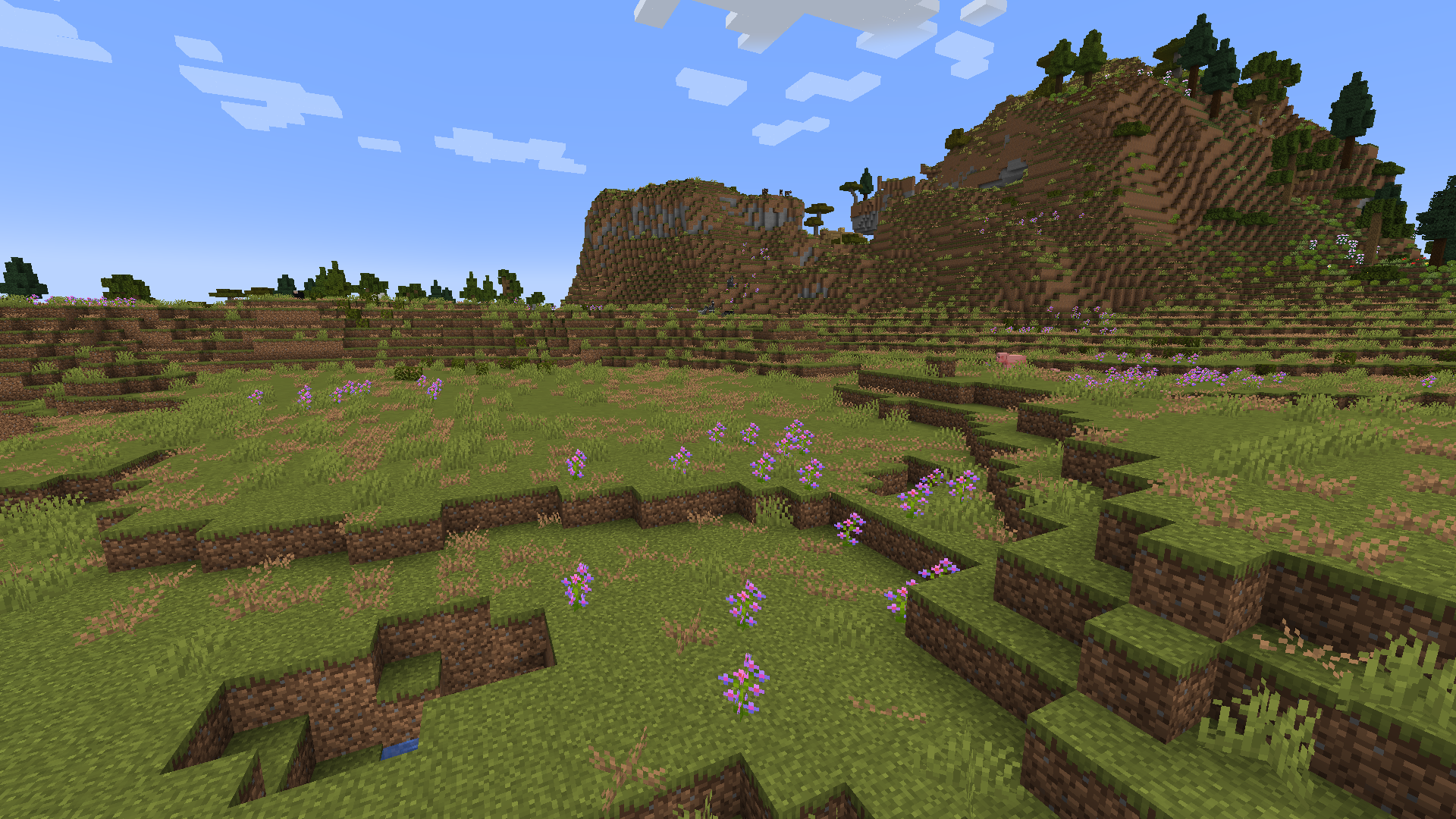 Scrubland | Biomes O' Plenty Wiki | Fandom