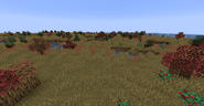 Bog Biome in 1.15.2