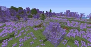 Lavender Field in 1.16.4