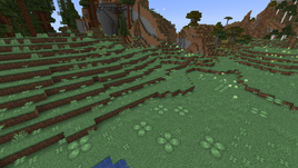 Clover Patch