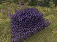 2013-12-07 20.23.41.png (772 KB)