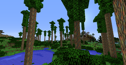 play MINECRAFT! Project by Fluorescent Eucalyptus