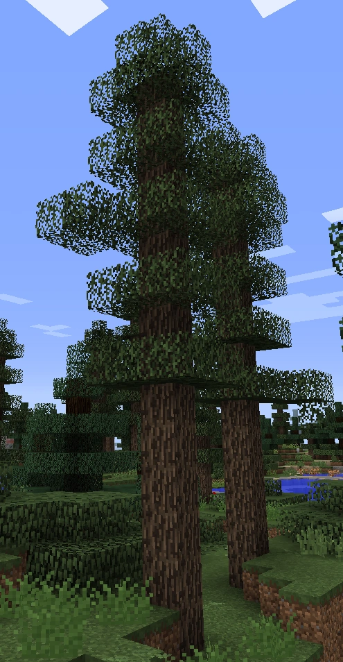 Pine Tree | Biomes O' Plenty Wiki | Fandom