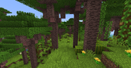 Tropical Rainforest in 1.15.2