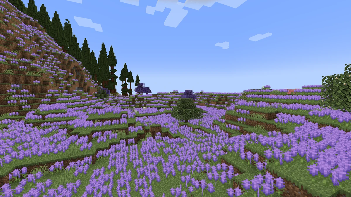 Lavender Field Biomes O' Plenty Wiki Fandom