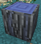 Old Wood