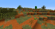 Outback Biome in 1.12.2