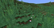 Old 1.21 version of this biome