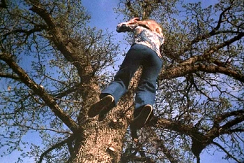 JaimesMother treeleap.jpg (321 KB) Jaime used to fall out of trees