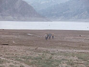 Illusion-of-flight.jpg (28 KB) Illusion of flight.