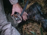 Steve's leg is impaled