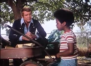 Vlcsnap-166360.jpg (29 KB)