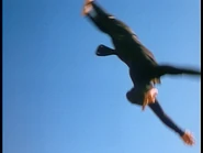 Steve has some abilities, too.