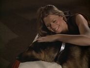 The.Bionic.Woman.S03E01.DVDrip.XviD-SAiNTS.avi 001295120