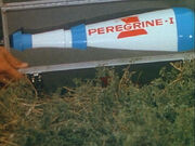 S2e14-peregrine