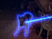 The.Bionic.Woman.S03E16.DVDrip.XviD-SAiNTS.avi 001895360.jpg (95 KB)