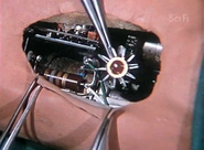 Vlcsnap-416686.png (217 KB)