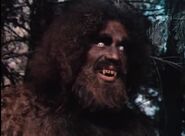 The Sasquatch