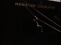 Hawaiin Legislator