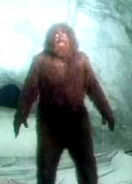 The Sasquatch