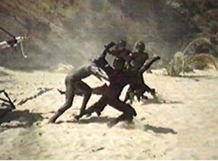 Bionic beach assault