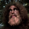 Box-bigfoot