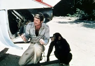 Steve chimp.jpg (64 KB) Steve and Billy survey the damage